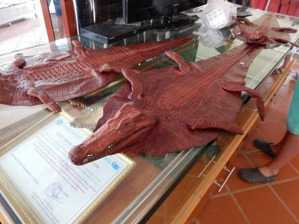 Деликатес - крокодилье мясо.