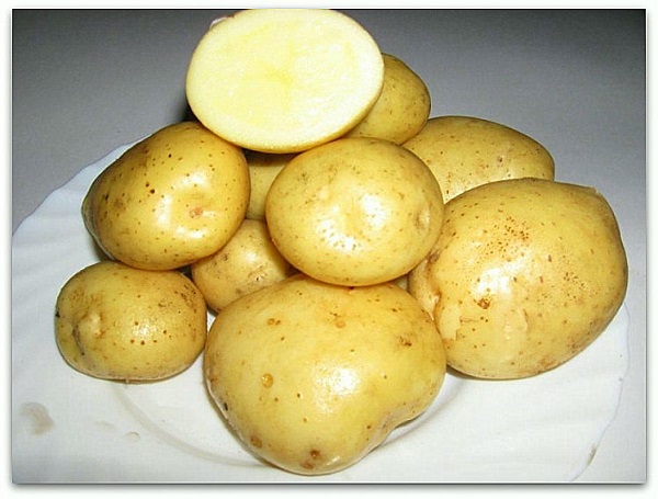 Сорт картофеля Эльмундо: фото, описание и отзывы