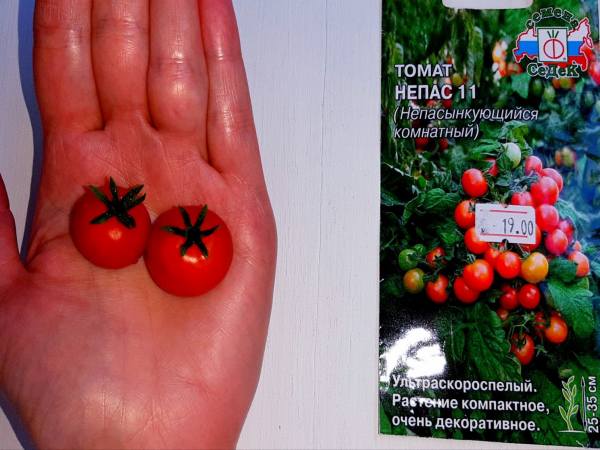 вид Непас 11 томатов