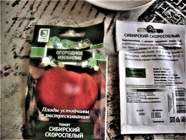семена помидоров сибирский скороспелый