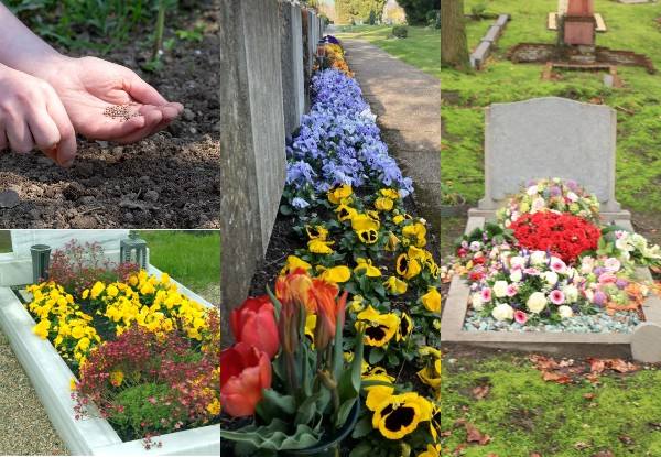 помощь в посадке цветов на кладбище