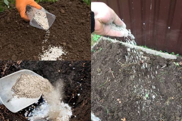 применения суперфосфата для подкормки растений в виде внесения в почву